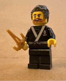 Resim Orjinal Lego Minifigür Martial Arts 