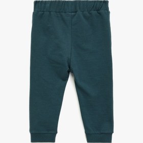 Resim Erkek Bebek Pamuklu Dinozor Baskılı Beli Bağcıklı Şardonlu Jogger Eşofman Altı 