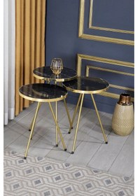 Resim Uslucan Alışveriş Zigon Sehpa Ve Orta Sehpa Elips Altın Metal Ayak Altın Bendir Set Çok Renkli 