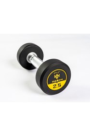 Resim Alinsport Profesyonel Kauçuk Kaplı Dumbbell 2.5 Kg 