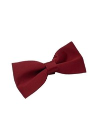 Resim Brianze Bordo Düz Renk Saten Papyon Bordo 