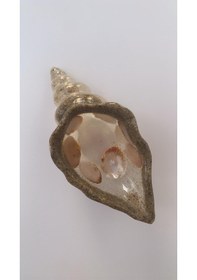 Resim Şeffaf Renkli Deniz Kumu Ve Deniz Kabuğu Süslü Epoksi Çerezlik 