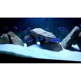 Resim Akvaryum Kumu 1 Kg Beyaz Kalsit Silis ( 2,0 - 3.0 mm ) 