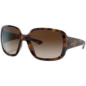 Resim Ray-Ban RB4347 710/13 60 Unisex Güneş Gözlüğü 
