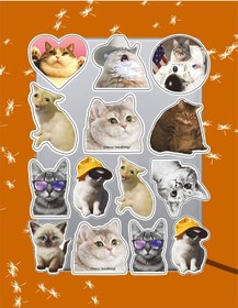 Resim Funny Cat Temalı Sticker Seti Laptop Ajanda Pc Tablet Telefon Defter Etiket Bullet Journal Diğer 