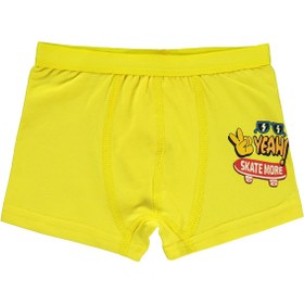 Resim Civil Boys Funny 2-10 Yaş Erkek Çocuk 2'li Boxer - Standart / 4-5 Yaş 