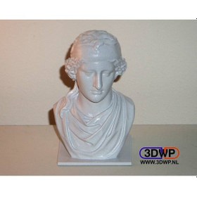 Resim Opencart Afrodit Büstü Heykel 3d Tarama Sadece Plastik Aparattır 