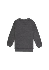 Resim U.s. Polo Assn. Erkek Çocuk Antrasit Melanj Sweatshirt 50313829-vr081 Antrasıt Melanj 