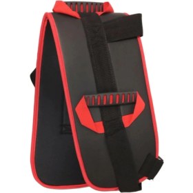 Resim Hasta Taşıma Kemeri ( Lisinya ) 