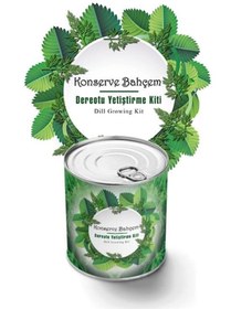 Resim Marsilyan İEG Konserve Bahçem Evde Konservede Dereotu Yetiştirme Kiti Aparatı 