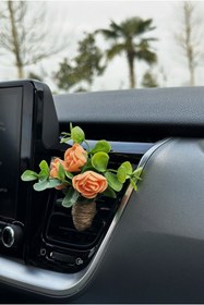 Resim Plantarrium Design Oto Aksesuar/koku-mini Hasır Buket Sarmaşık Somon 