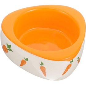 Resim Hayvanlar İçin Seramik Hamster Kasesi Tip Chinchilla Ve Gine Domuz Yemek Yemeği Karikatür Hamster Tasarım Hamster Sıçanları Ve Tavşanlar 