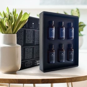 Resim Siner Torque Reed Diffuser 6’lı Minimal Seri Bambu Çubuklu Oda Kokusu (Bambu Koku Set Iı) 