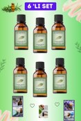 Resim SCARPİON Yağmur Ormanları Uçucu koku Yağı Hava Nemlendiriciler için Oda Kokusu Esansiyel 6li set 6x10 ml 