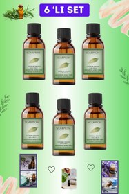 Resim SCARPİON Yağmur Ormanları Uçucu koku Yağı Hava Nemlendiriciler için Oda Kokusu Esansiyel 6li set 6x10 ml 