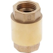 Resim Suntek 1/2 Inç Npt Dikey Sıralı Yaylı Pirinç Çekvalf 