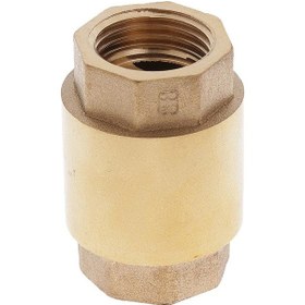 Resim Suntek 1/2 Inç Npt Dikey Sıralı Yaylı Pirinç Çekvalf 