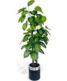 Resim Yapay Çiçek Difenbahya Sarı Yeşil 3katlı 160cm 54yaprak Gümüş Kemerli Siyah Saksıda Yapay Bitki 