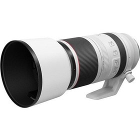 Resim Canon RF 100-500mm f/4.5-7.1L IS USM Lens 