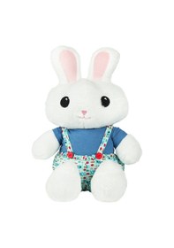 Resim Bay Dreamy Boy Peluş Çok Renkli 