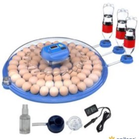 Resim Genel Markalar 80 Yumurta Kapasiteli Otomatik Çiftlik Kuluçka Makinesi : Yumurta, Bıldırcın, Civciv Ve Kanatlılar İ 