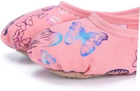 Resim VALICLUD 2 Bale Ayakkabıları Taban Bale Ayakkabısı Baskı Tabanı Çocuklar Pointe Ayakkabı Düz Ayakkabılar Dans Topuklu Yürümeye Başlayan Çocuk Dans Bale Daireleri Streç Kayışlar 