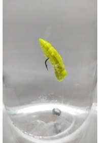 Resim RenatCarp Trout Master Peynir Kokulu Silikon Arı Alabalık Yemi 