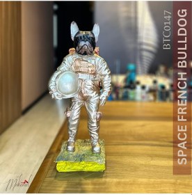 Resim Uzay Fransız Bulldog Tam Takım Elbise, Dekoratif Astronot, El Ya 