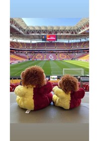 Resim Aslan Taraftar Peluş Oyuncak Aslan Kardeşler 30 Cm 20 Cm En Güzel Hediyelik Uyku Arkadaşı Kırmızı 