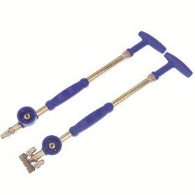 Resim Dayanıklı Elde Taşınabilir Tek/Çift Başlıklı, İtme-Çekme Bakır Pompa, Pirinç Nozul ve Ergonomik Mavi Tutamaklı [Açık Hava Maceraları] Sıvı Püskürtücü - Bahçe, Çim ve Ev Kullanımı için İdeal 