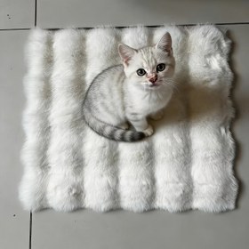 Resim Four Seasons Evcil Hayvan Matı Kedi Yastığı Sandalye Pedi Tırmanma Çerçevesi Sıcak Uyku Köpek Battaniyesi Uzay Kapsülü Pet Battaniye 