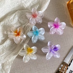 Resim 1/6 adet Kadınlar için Moda Çiçek Saç Pençesi Hawai Gradyan Saç Tokaları Tatil Plaj Stili Saç Aksesuarları 