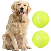 Resim Symbee 9.5 İnç Tenis Topu 2'li Paket + Rastgele Renkli Pompa - Lastik Ve Felt Malzeme Yeşil 