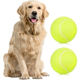 Resim Lemestar 9.5 İnç Yeşil Tenis Topu 2 Adet + Rastgele Renkli Kırmızı/mavi Hava Pompa Seti - Rahat Boş Zaman Aktivitesi Yeşil 