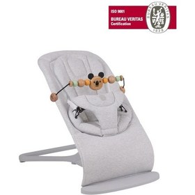 Resim Will Bouncer Side Ana Kucağı - Grey & Ana Kucağı Oyuncağı - Koala Color 