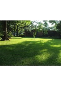 Resim 5s Silhoutte 10 Kg Çim Tohumu 