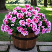 Resim 5 adet 7 dişli Rododendron Yapay Azalea Çiçekleri - Dış Mekan ve İç Mekan Dekorasyonu, Düğün Teklifleri, Saksı Bitkilerinde Mükemmel, Verandalarda, Bahçelerde, Avlularda, Şükran Günü, Paskalya, St. Patrick Günü, İşçi Bayramı, Anneler Günü, Kaplama Yok, Elektrik Yok, Pil Yok, Çiçek Süsleri 