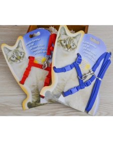 Resim Marsilyan- Kedi Tasması 