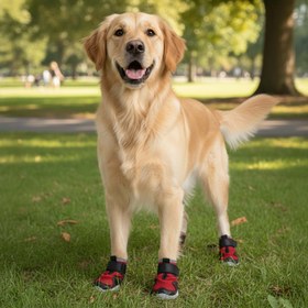 Resim AirMesh Yazlık Köpek Ayakkabısı - Cırt Cırtlı Ayarlanabilir Kaymaz Kauçuk Taban Bot, Kırmızı Köpek Ayakkabısı 