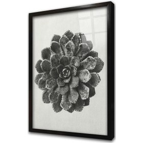 Resim Siyah Beyaz Çiçek Çerçeveli Cam Tablo-172041 