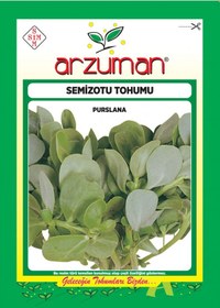 Resim Arzuman Semizotu Tohumu 25 G 