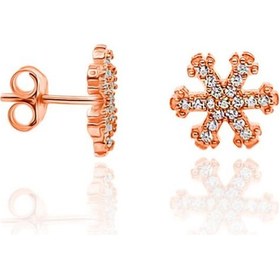 Resim Gümüş Roz Küpe Taşlı Küçük Boy Kar Taneli Bayan Küpesi Kadın Kupe 