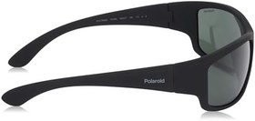 Resim Polaroid PLD 7005/S Güneş Gözlükleri Erkek 