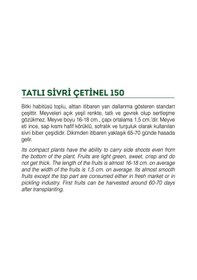 Resim Ata Tohumu Tatlı Sivri Çetinel Biber 100 Adet Tohum 