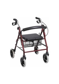 Resim Poylin P580 Lüx Hasta Yaşlı Yürüteci (Tekerlekli Walker) 