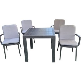 Resim Sandalye Minderi Yıkanabilir Fermuarlı Lastikli 6'lı Açık Gri 4 Cm Sünger Alt 42x42 Sırt 42x42 