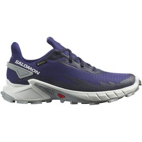 Resim Salomon Alphacross 4 Gtx W 