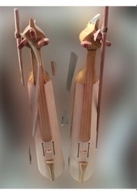 Resim Özel Karadeniz Kemençe Seti 