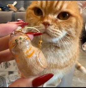 Resim BAMİAMU 1 adet evcil hayvan tüy saklama kapsülü turuncu,anahtarlık,tasma,kedi,çanta aksesuarı,hatıra 