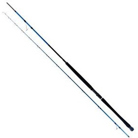 Resim Ryuji Shore Game Fuji 295 CM 30-100GR 2 Parça Shore Jig Kamış 